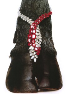 Hiro Wakabayashi Collar de Harry Winston, fotografiado por Hiro Wakabayashi.